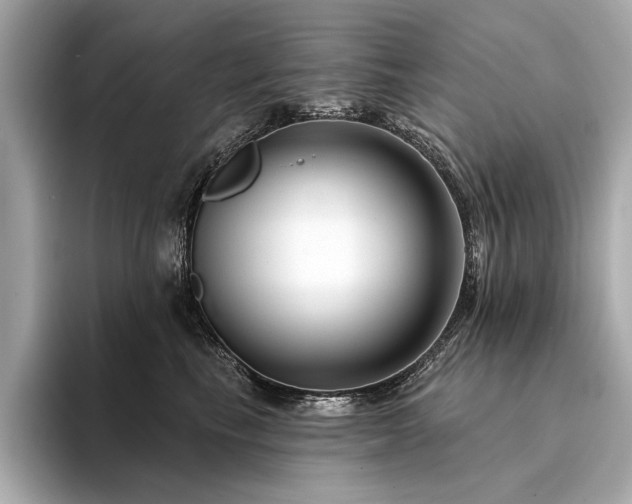 X0000094330665200711021411