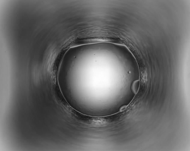 X0000094330666200711021411