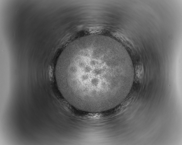 X0000094330667200711021411
