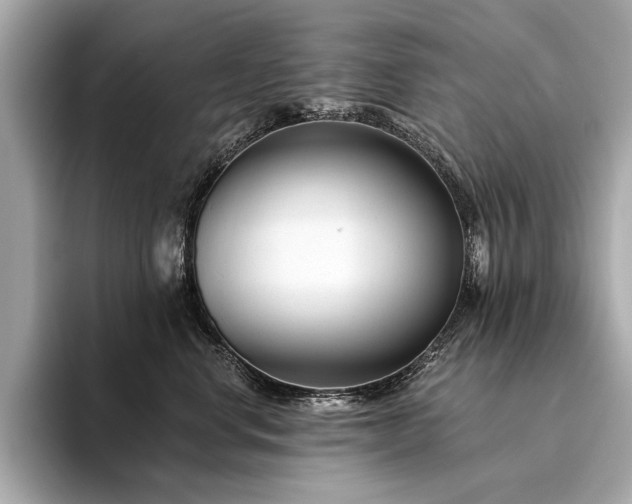 X0000094330668200711021411