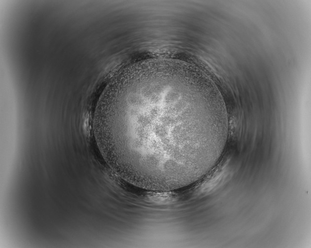 X0000094330671200711021411