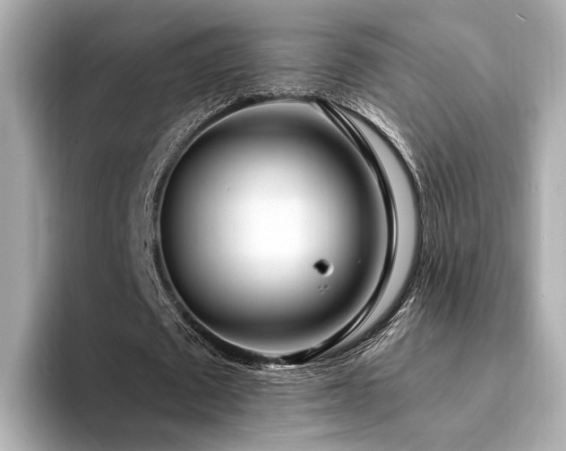 X0000094330673200711021410