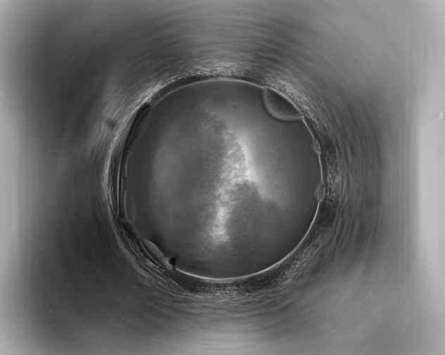 X0000094330674200711021410