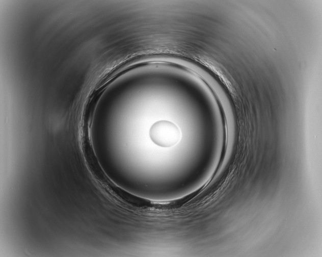 X0000094330677200711021410