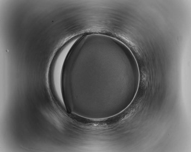 X0000094330678200711021410
