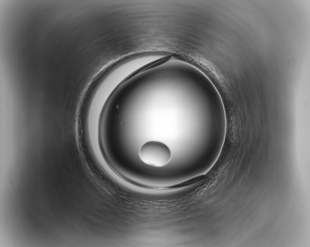 X0000094330680200711021410