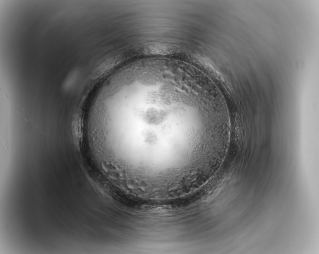 X0000094330683200711021410