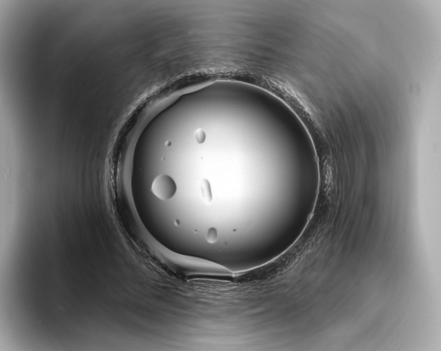 X0000094330684200711021410