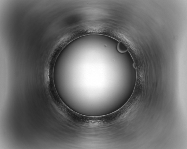 X0000094330686200711021410