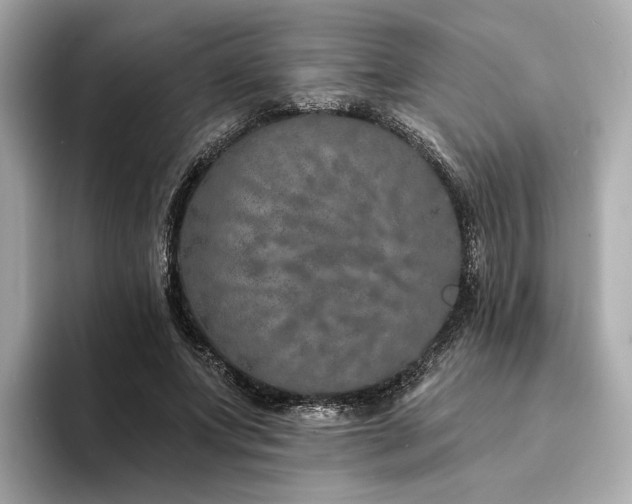 X0000094330687200711021410