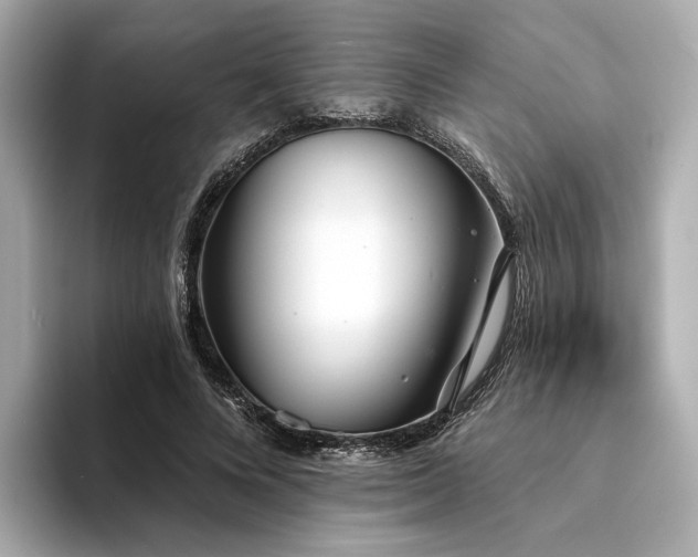 X0000094330688200711021410