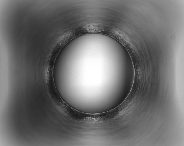 X0000094330690200711021410