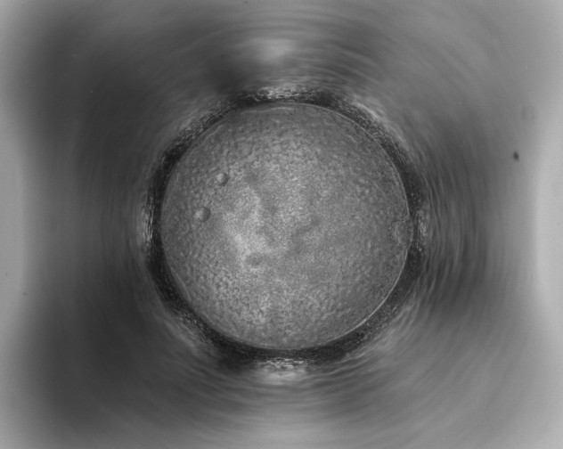 X0000094330691200711021410