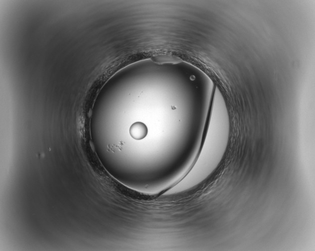 X0000094330693200711021410