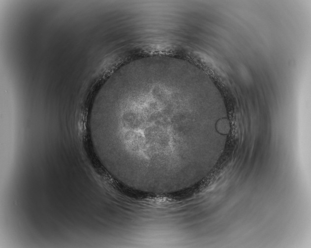 X0000094330695200711021410