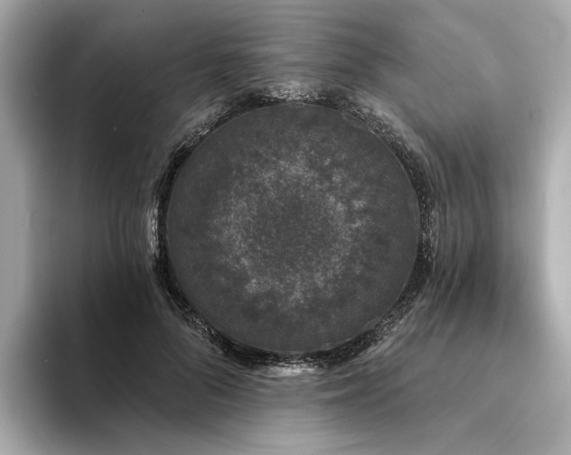 X0000094330696200711021410