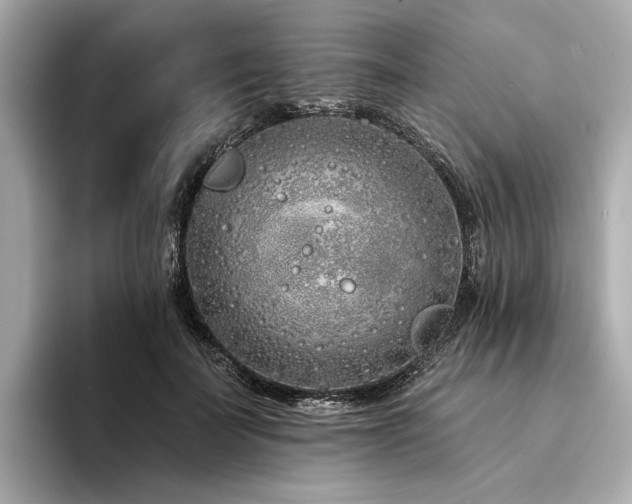 X0000094330699200711021410