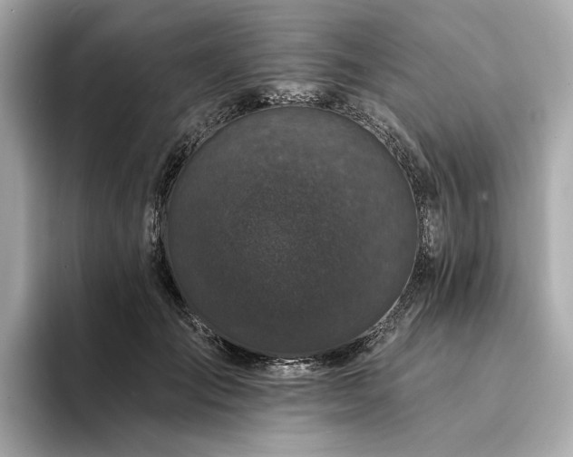 X0000094330701200711021410