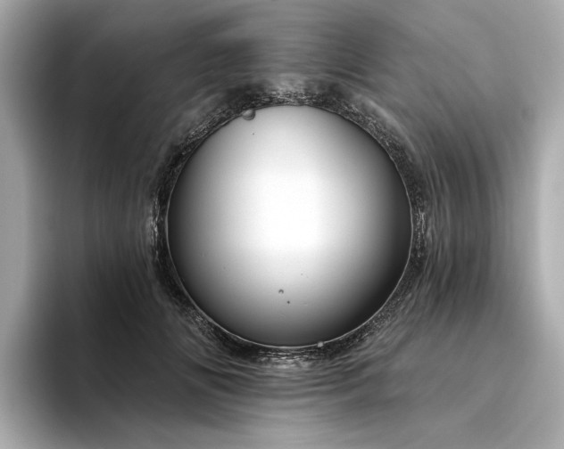 X0000094330702200711021410