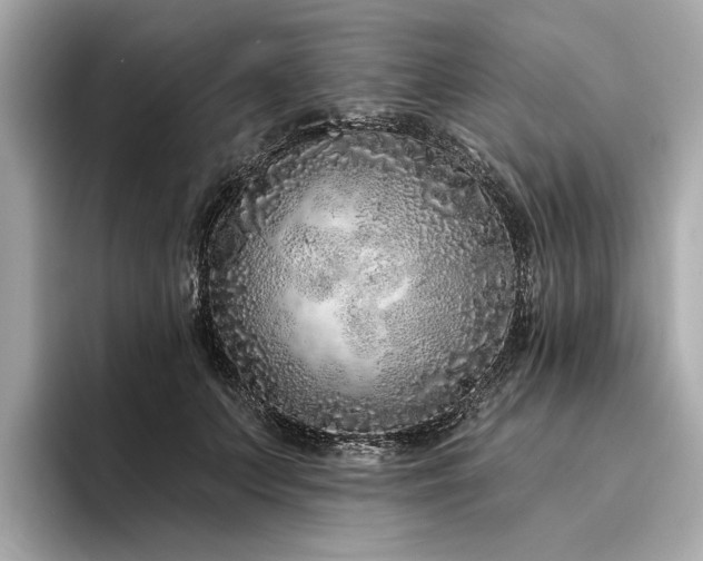 X0000094330703200711021410