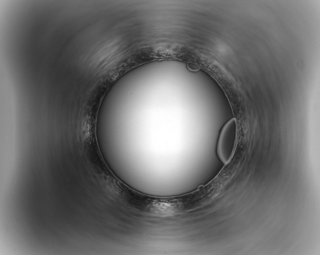 X0000094330706200711021410