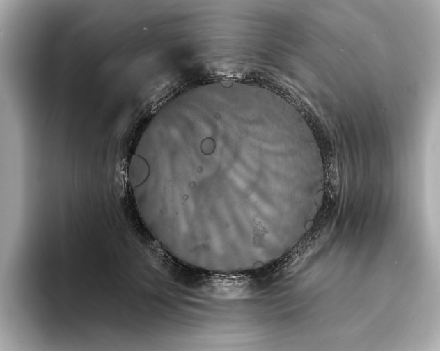 X0000094330707200711021410