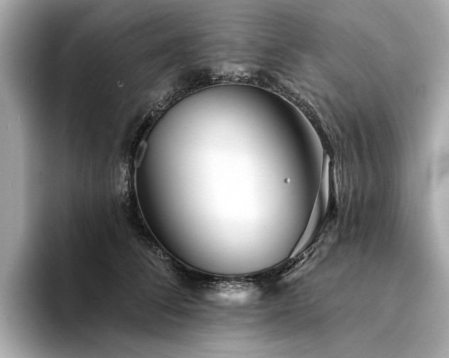 X0000094330708200711021410