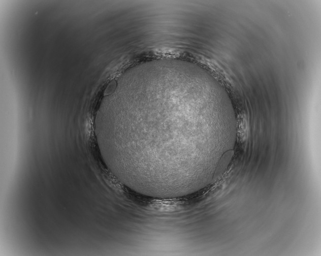 X0000094330713200711021410