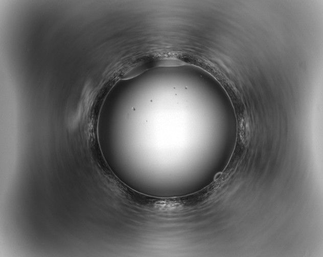 X0000094330714200711021410