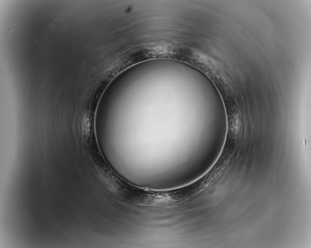 X0000094330715200711021410