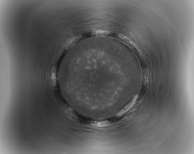 X0000094330716200711021410
