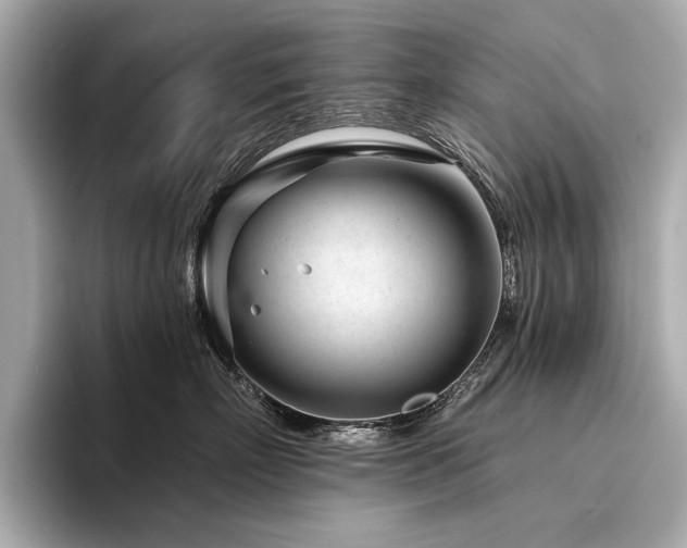 X0000094330718200711021410