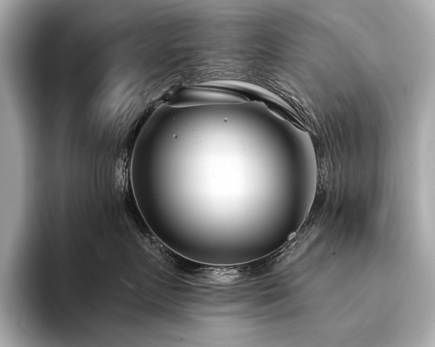 X0000094330719200711021410