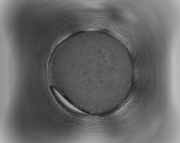 X0000094330721200711021409