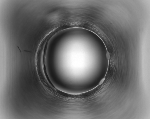 X0000094330722200711021409