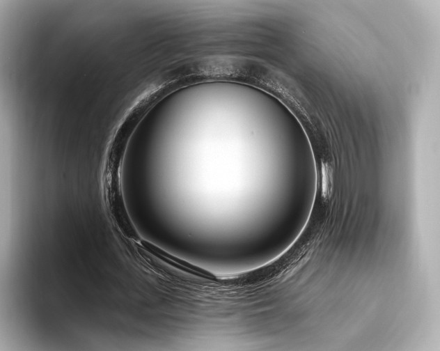 X0000094330723200711021409