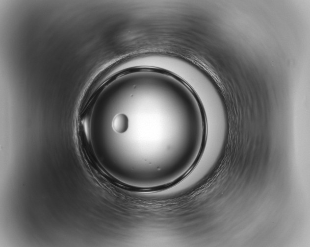 X0000094330724200711021409