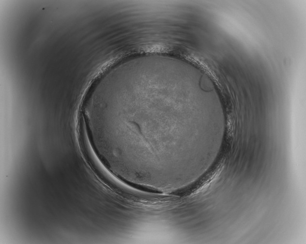 X0000094330725200711021409