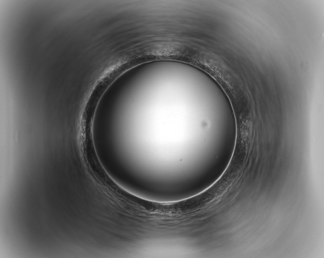 X0000094330727200711021409