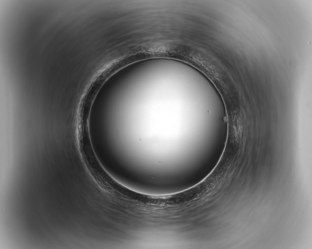 X0000094330728200711021409