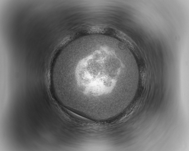 X0000094330729200711021409
