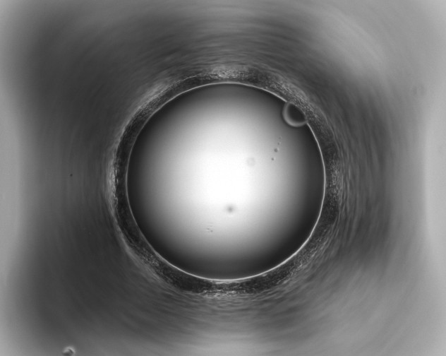 X0000094330730200711021409