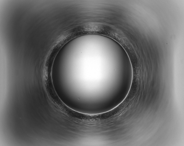 X0000094330731200711021409