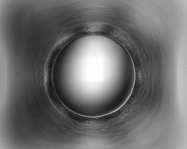 X0000094330732200711021409
