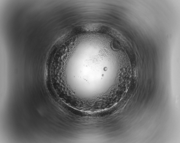 X0000094330733200711021409