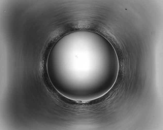 X0000094330735200711021409