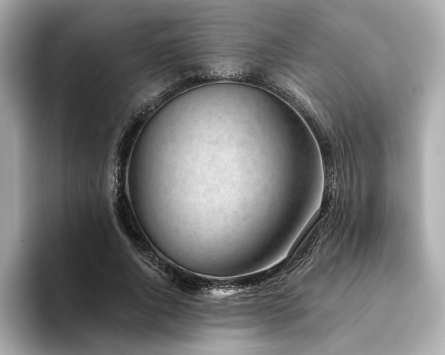 X0000094330736200711021409