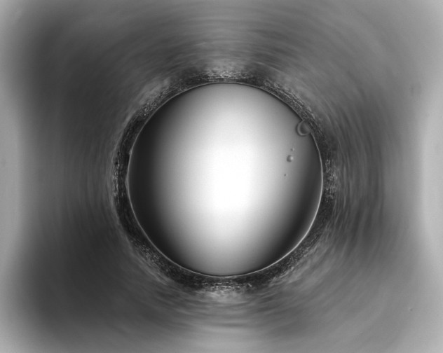 X0000094330738200711021409