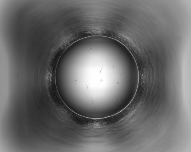 X0000094330739200711021409