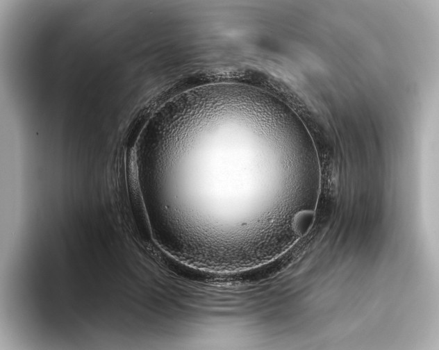 X0000094330746200711021409